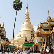 I Stand Amazed Every Day