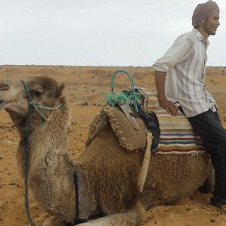 NORTH AFRICA: More Than Rules