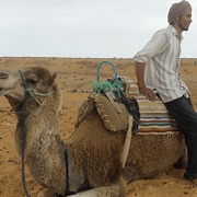 NORTH AFRICA: More Than Rules