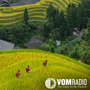 CHINA MISSIONS: "That's When We Felt the Call"