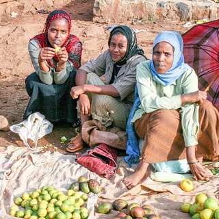 HORN OF AFRICA: Even If I Die…