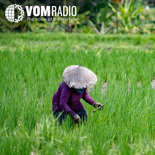 ASIA/PACIFIC: "Who's Going to Buy Rice From You, Now That You're a Christian?"