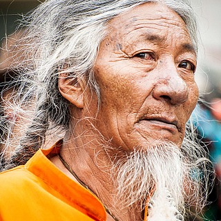 Bold Witnesses in China