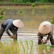 MISSIONS: Right Now is Ministry