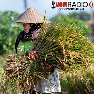 MISSIONS: The Enemy Wants Us to Be Quiet